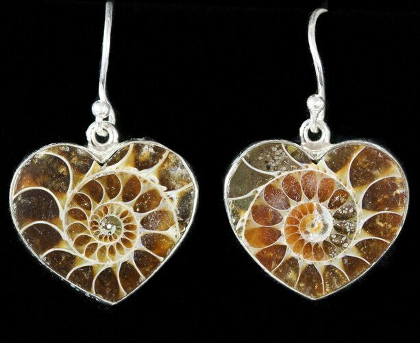 Fossil Ammonite Earrings - Sterling Silver #48740